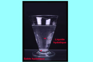 Sable hydatique




                   Liquide
                  hydatique




Sable hydatique
 