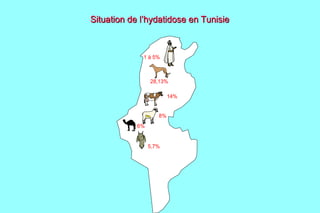 Situation de l’hydatidose en Tunisie



             1 à 5%



                 28,13%

                         14%


                    8%
                   8%
            6%


                  5,7%
                 5,7%



                          6%
 