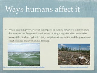Ways humans affect it

         We are becoming very aware of the impacts on nature, however it is unfortunate
         that many of the things we have done are causing a negative affect and can be
         irreversible. Such as hydroelectricity, irrigation, deforestation and the greenhouse
         effect, vehicles and even animal farming.




http://www.facstaff.bucknell.edu/mvigeant/univ270_05/jake_aq/irrigation.htm   http://www.thinkglobalgreen.org/deforestation.html
 