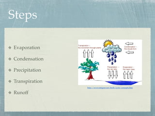 Steps

Evaporation

Condensation

Precipitation

Transpiration
                http://www.mbgnet.net/fresh/cycle/concepts.htm

Runoff
 