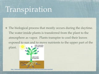 Transpiration

The biological process that mostly occurs during the daytime.
The water inside plants is transferred from the plant to the
atmosphere as vapor. Plants transpire to cool their leaves
exposed to sun and to move nutrients to the upper part of the
plant.




 http://dontwastewaterweneedit.weebly.com/why-do-we-need-clean-water.html
 