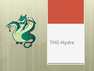 THC-Hydra
 