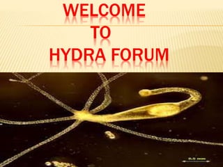 WELCOME
TO
HYDRA FORUM
 