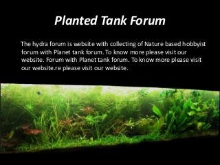 Planted Tank Forum 
The hydra forum is website with collecting of Nature based hobbyist 
forum with Planet tank forum. To know more please visit our 
website. Forum with Planet tank forum. To know more please visit 
our website.re please visit our website. 
 