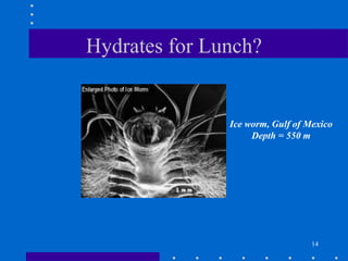 14
Hydrates for Lunch?
Ice worm, Gulf of Mexico
Depth = 550 m
 