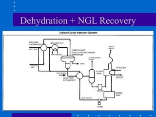 23
Dehydration + NGL Recovery
 