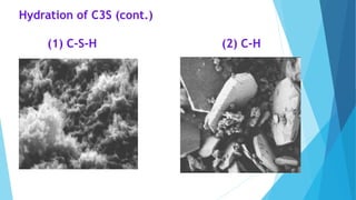Hydration of C3S (cont.)
(1) C-S-H (2) C-H
 