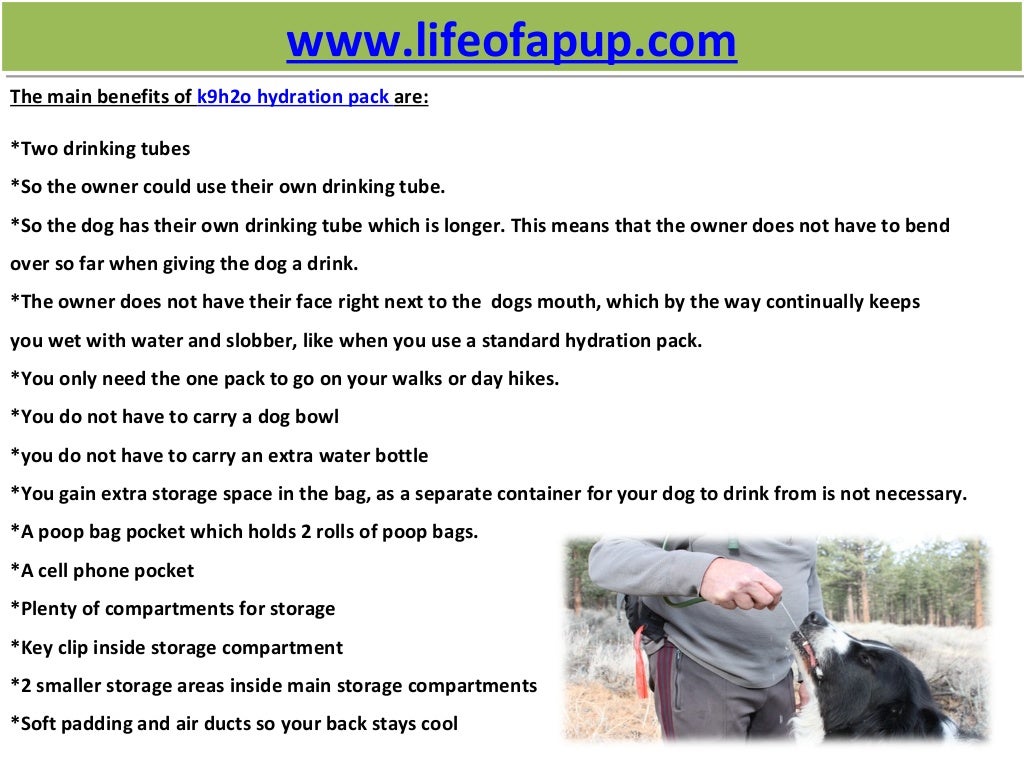 Hydration pack for dogs