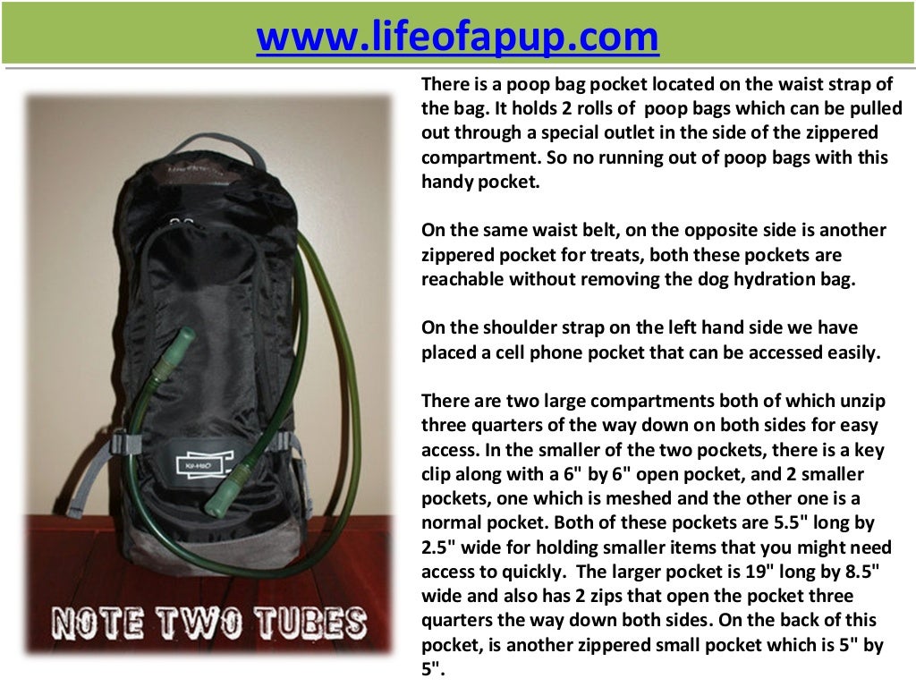 Hydration pack for dogs