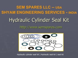 Hydraulic Cylinder Seal Kit http://www.semspares.com SEM SPARES LLC  –  USA SHYAM ENGINEERING SERVICES  -  INDIA Hydraulic cylinder seal kit | Hydraulic seal kit | seal kit 
