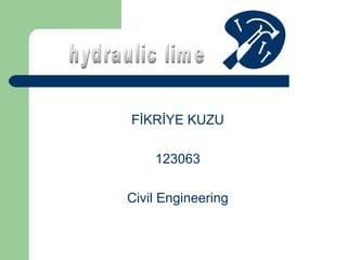 FİKRİYE KUZU
123063
Civil Engineering

 