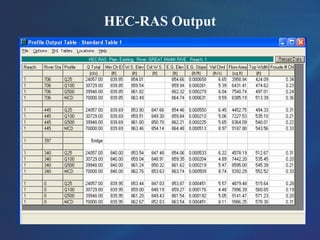 HEC-RAS Output
 