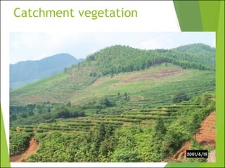 Catchment vegetation
 