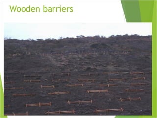 Wooden barriers
 