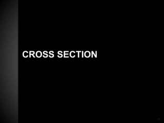CROSS SECTION
16
 