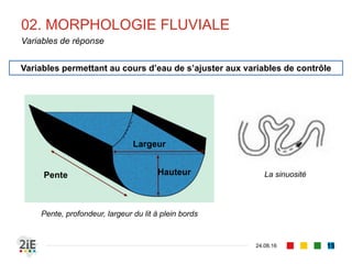 02. MORPHOLOGIE FLUVIALE
04.09.16
Variables de réponse
15
Variables permettant au cours d’eau de s’ajuster aux variables de contrôle
La sinuosité
Pente, profondeur, largeur du lit à plein bords
Pente
Largeur
Hauteur
 