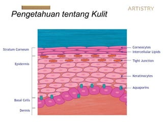 Pengetahuan tentang Kulit
 