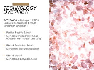 TECHNOLOGY
OVERVIEW
REPLENISH kulit dengan HYDRA
Complex mengandung 4 bahan
kandungan tambahan :
 Purified Peptide Extract
- Membantu memperbaiki fungsi
epidermis dan jaringan perintang
 Ekstrak Tumbuhan Pesisir
- Mendorong produksi Aquaporin
 Ekstrak Lilyturf
- Memperkuat penyambung sel
 