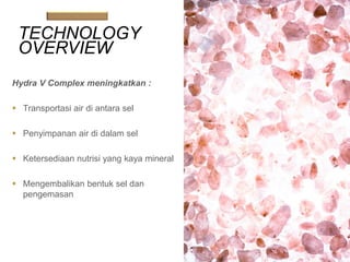 TECHNOLOGY
OVERVIEW
Hydra V Complex meningkatkan :
 Transportasi air di antara sel
 Penyimpanan air di dalam sel
 Ketersediaan nutrisi yang kaya mineral
 Mengembalikan bentuk sel dan
pengemasan
 