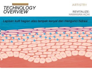 Sel-sel kulit yang tidak teraturHawaiian Acai, bersama dengan bahan
kandungan lainnya (Moisture Liposome),
menembus permukaan kulit
Lapisan kulit bagian atas tampak kenyal dan mengunci hidrasi
TECHNOLOGY
OVERVIEW REVITALIZE:
HAWAIIAN ACAI
 