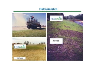 Hidrosiembra




                   TESTIGO




TESTIGO
 