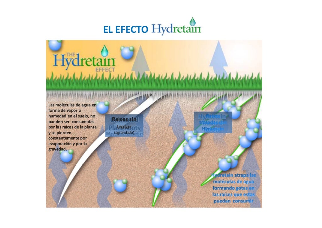 Hydretain