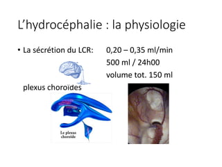 L’hydrocéphalie :	la	physiologie
• La	sécrétion du	LCR:	 0,20	– 0,35	ml/min
500	ml	/	24h00
volume	tot.	150	ml
plexus	choroïdes
 