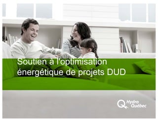 Soutien à l'optimisation
énergétique de projets DUD
 