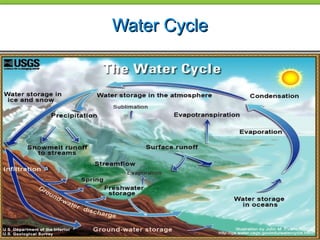 Water CycleWater Cycle
 
