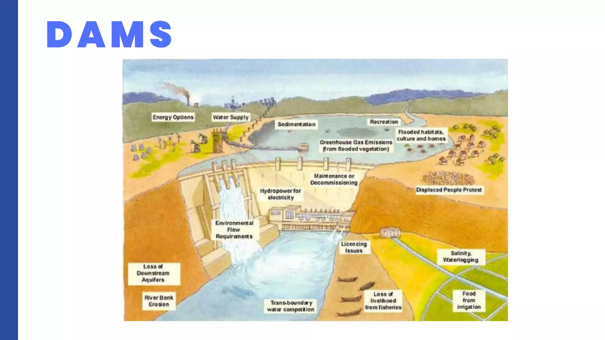 DAMS
 