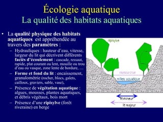 Écologie aquatique La qualité des habitats aquatiques ,[object Object],[object Object],[object Object],[object Object],[object Object]