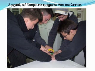 Αρχικά, κόβουμε τα τμήματα του σκελετού.
 