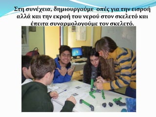 Στη συνέχεια, δημιουργούμε οπές για την εισροή
αλλά και την εκροή του νερού στον σκελετό και
έπειτα συναρμολογούμε τον σκελετό.
 