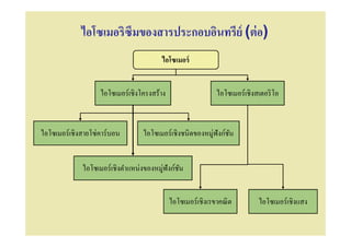 ไอโซเมอริซึมของสารประกอบอินทรีย์ (ต่ อ)
                                        ไอโซเมอร์


                   ไอโซเมอร์เชิงโครงสร้าง                   ไอโซเมอร์เชิงสเตอริ โอ



ไอโซเมอร์เชิงสายโซ่คาร์บอน        ไอโซเมอร์เชิงชนิดของหมู่ฟังก์ชน
                                                                ั


             ไอโซเมอร์เชิงตําแหน่งของหมู่ฟังก์ชน
                                               ั


                                            ไอโซเมอร์เชิงเรขาคณิ ต        ไอโซเมอร์เชิงแสง
 