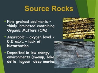 Hydrocarbon-Source-Rocks-Presentation-pptx | PPTX