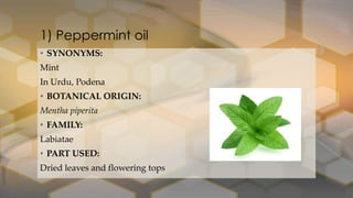 • SYNONYMS:
Mint
In Urdu, Podena
• BOTANICAL ORIGIN:
Mentha piperita
• FAMILY:
Labiatae
• PART USED:
Dried leaves and flowering tops
1) Peppermint oil
 