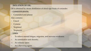 • ISOLATION OF OIL:
Oil is obtained by steam distillation of dried ripe fruits of coriander.
• CONSTITUENTS:
• Coriandrol and pinene
Also contains:
• Cineol
• Cymene
• Terpineol
• Terpinolol
• USES:
i. To relieve mental fatigue, migraine, and nervous weakness.
ii. As carminative and diuretic.
iii. As culinary spice.
iv. As a flavoring agent.
 