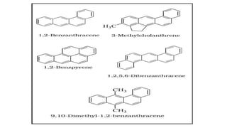 Hydrocarbons - Class 11