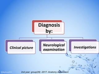 Diagnosis
by:
Clinical picture
Neurological
examination
Investigations
2nd year: group(29) -2017- Anatomy department
 