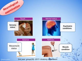 Sensory
status
Touch
Psychiatric
conditions
Mental status
Movement
status
Balance Reflexes
Muscle
condition
2nd year: group(29) -2017- Anatomy department
 