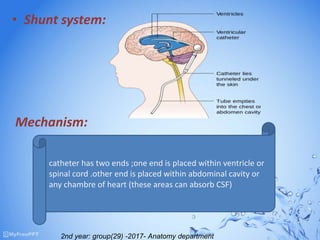 • Shunt system:
Mechanism:
catheter has two ends ;one end is placed within ventricle or
spinal cord .other end is placed within abdominal cavity or
any chambre of heart (these areas can absorb CSF)
2nd year: group(29) -2017- Anatomy department
 