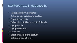 Differential diagnosis 
• acute epididymo orchitis 
• Tuberculosis epididymo orchitis 
• Syphilitic orchitis 
• Subacute epididymo orchitis(filarial) 
• Lymph varix 
• Lymph scrotum 
• Chylocele 
• Elephantiasis of the scotum 
• Extravasation of urine 
 