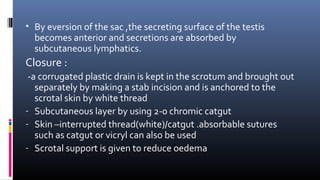• By eversion of the sac ,the secreting surface of the testis 
becomes anterior and secretions are absorbed by 
subcutaneous lymphatics. 
Closure : 
-a corrugated plastic drain is kept in the scrotum and brought out 
separately by making a stab incision and is anchored to the 
scrotal skin by white thread 
- Subcutaneous layer by using 2-0 chromic catgut 
- Skin –interrupted thread(white)/catgut .absorbable sutures 
such as catgut or vicryl can also be used 
- Scrotal support is given to reduce oedema 
 