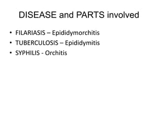 DISEASE and PARTS involved
• FILARIASIS – Epididymorchitis
• TUBERCULOSIS – Epididymitis
• SYPHILIS - Orchitis
 