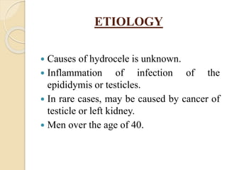 ETIOLOGY
 Causes of hydrocele is unknown.
 Inflammation of infection of the
epididymis or testicles.
 In rare cases, may be caused by cancer of
testicle or left kidney.
 Men over the age of 40.
 