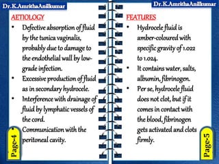 AETIOLOGY
• Defective absorption of fluid
by the tunicavaginalis,
probably due to damage to
the endothelial wall by low-
grade infection.
• Excessiveproductionof fluid
as in secondary hydrocele.
• Interference withdrainage of
fluid by lymphaticvessels of
the cord.
• Communicationwiththe
peritoneal cavity.
FEATURES
• Hydrocele fluid is
amber-colouredwith
specificgravity of 1.022
to 1.024.
• It contains water, salts,
albumin, fibrinogen.
• Per se, hydrocele fluid
does not clot, but if it
comes in contact with
the blood, fibrinogen
gets activated and clots
firmly.
 
