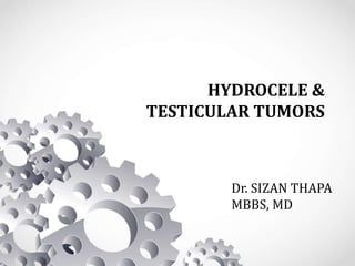 HYDROCELE &
TESTICULAR TUMORS
Dr. SIZAN THAPA
MBBS, MD
 