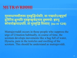 MUTRAVRDDHI
मुत्रसधरणशीलस्य मुत्रव्रुद्धिर्भवति, सा गच्छिोऽम्बूपूणाभ
द्रुतिररव क्षुभ्यति मुत्रक्र
ु च्छ
र वेदनाम् व्रुषणयोोः श्वयथुुं
कोशयोश्चापादयति, िाुं मुत्रवॄद्धिुं तवध्याि् (su ni 12/6)
Mutrajavruddi occurs in those people who suppress the
urge of Urination habitually, in coarse of time, the
scrotum develops movements like a bag full of water,
Dysuria, pain in the testicles and swelling of the
scrotum. This should be understand as mutrajavrddi.
44
 