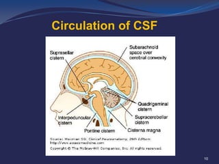 Circulation of CSF

10

 