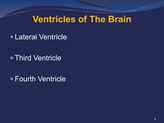 Ventricles of The Brain
 Lateral Ventricle
 Third Ventricle
 Fourth Ventricle

4

 
